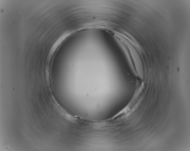 X0000075841196200610061839