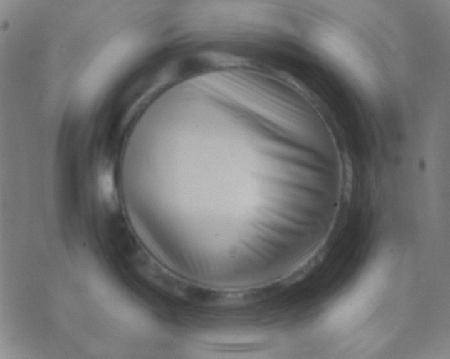 X0000075841198200610061839