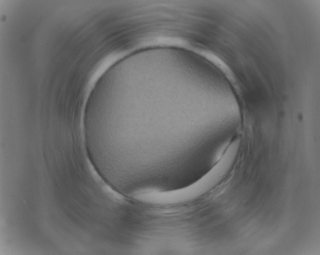 X0000075841199200610061839