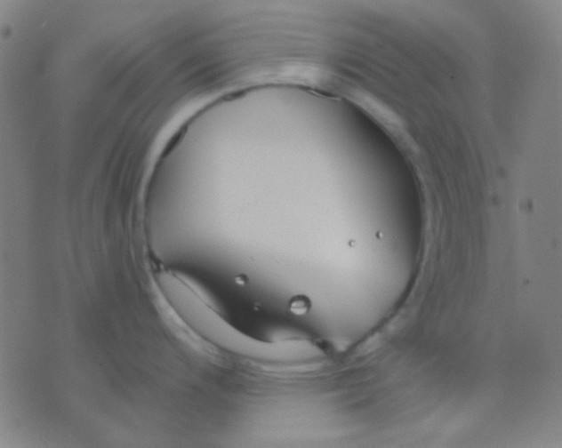 X0000075841200200610061839