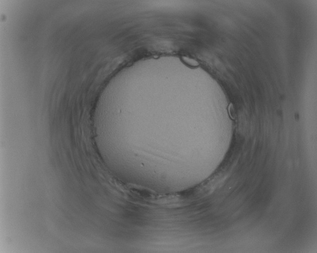 X0000075841201200610061838