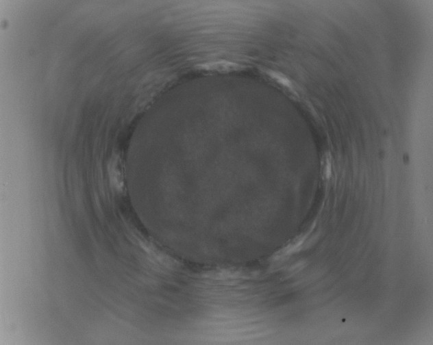 X0000075841202200610061838