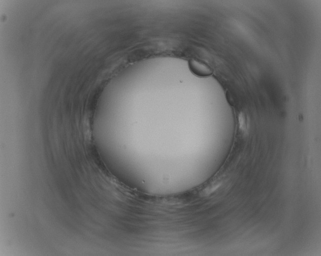 X0000075841203200610061838