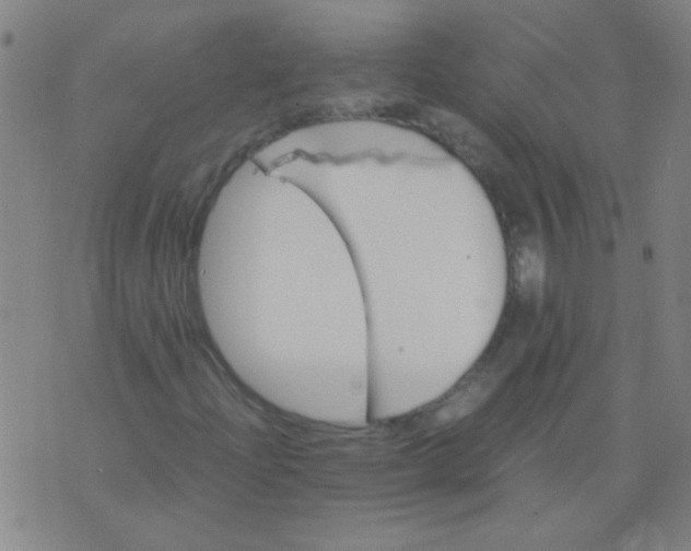 X0000075841204200610061838