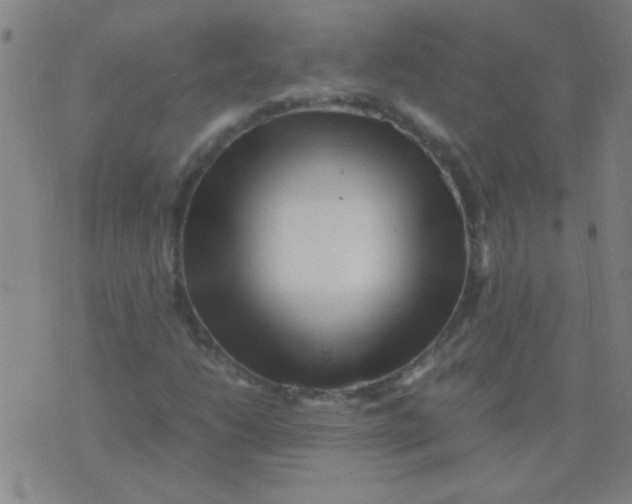 X0000075841206200610061838