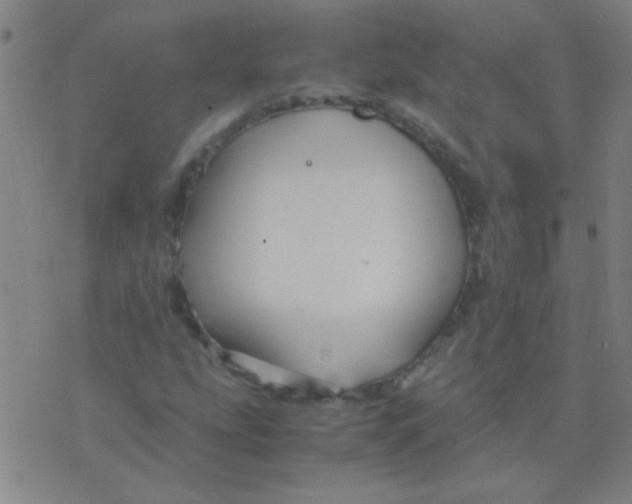 X0000075841207200610061838