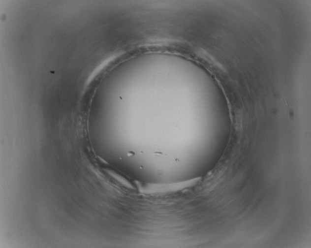 X0000075841208200610061838