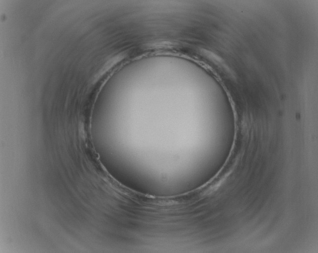 X0000075841209200610061838