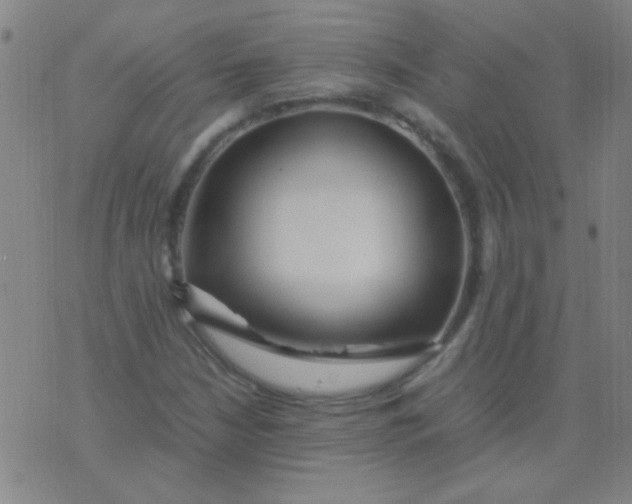 X0000075841210200610061838