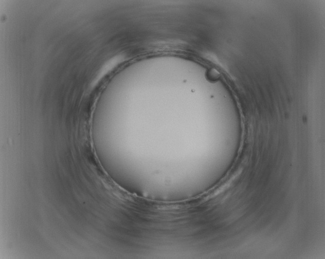 X0000075841211200610061839