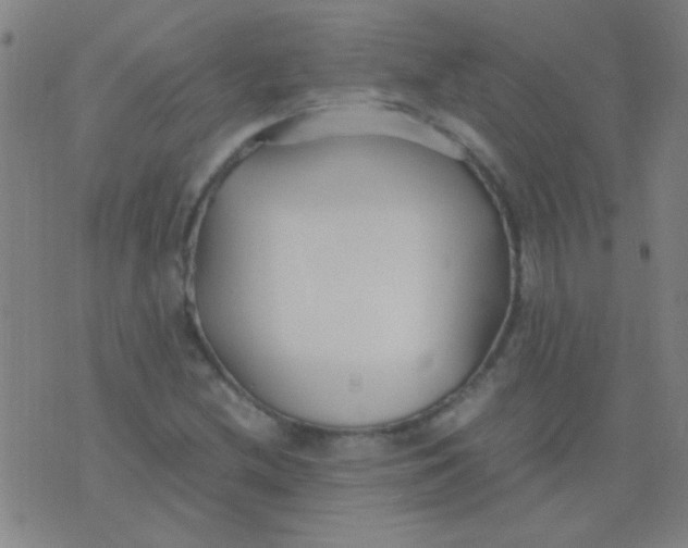 X0000075841212200610061839