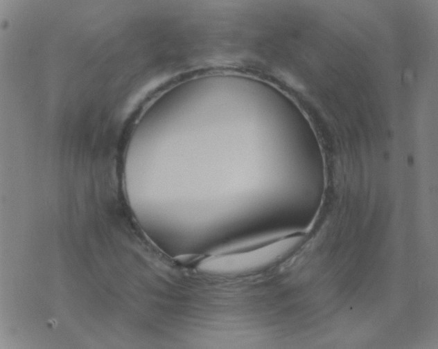 X0000075841214200610061839