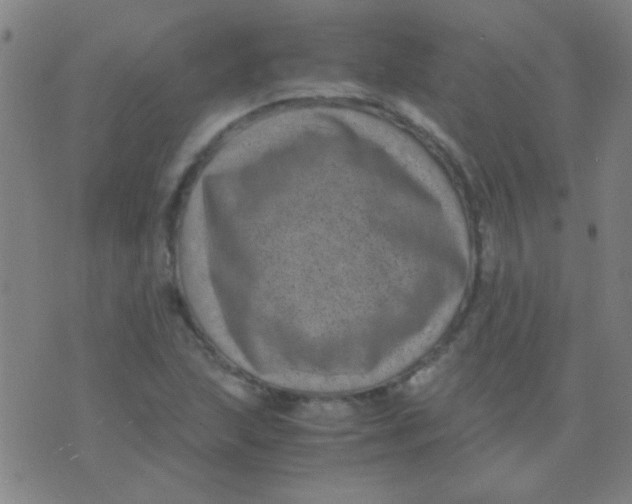 X0000075841215200610061839