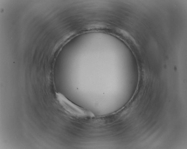 X0000075841217200610061839