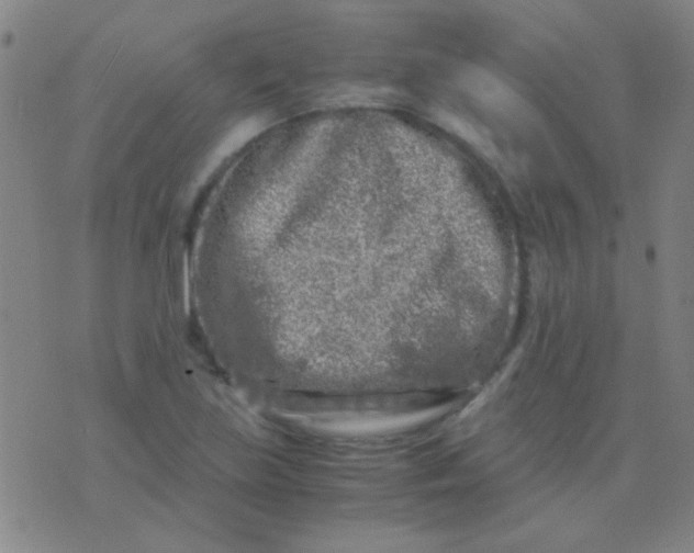 X0000075841219200610061839