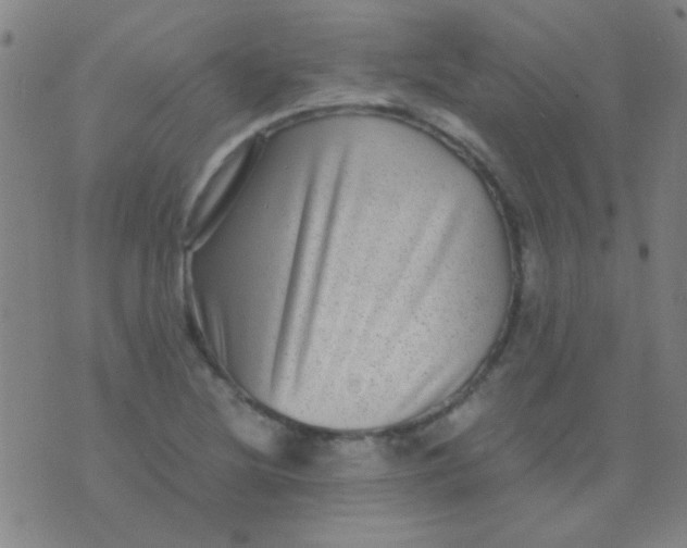 X0000075841220200610061839