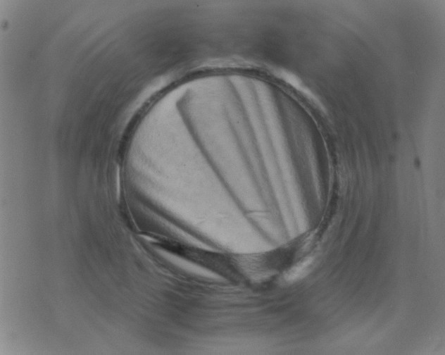 X0000075841221200610061839