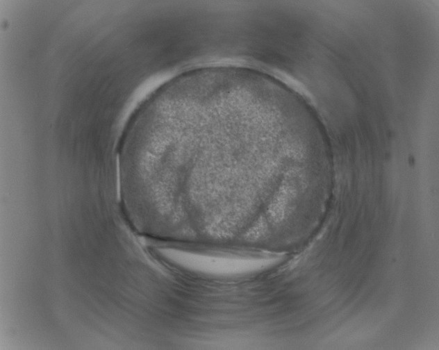 X0000075841223200610061839