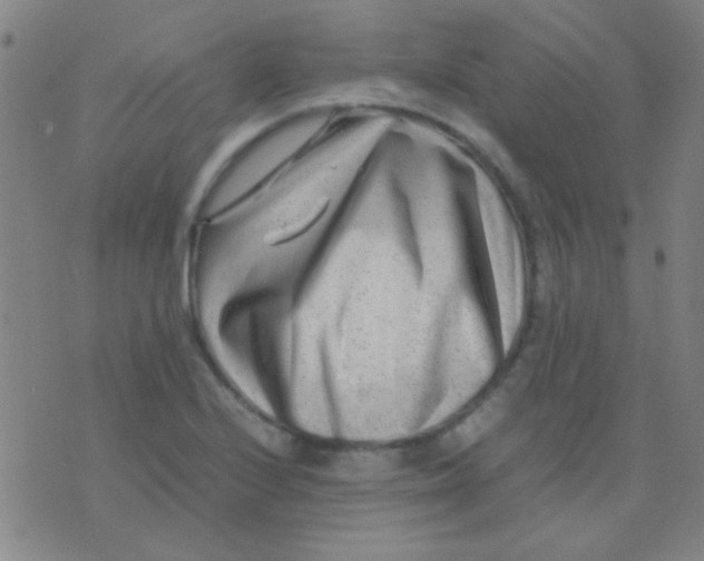 X0000075841224200610061839