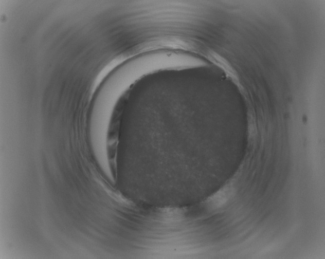 X0000075841226200610061839