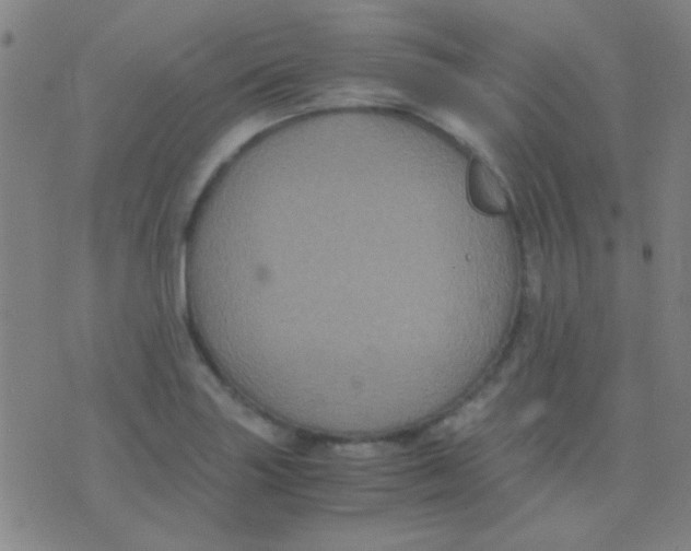 X0000075841227200610061839