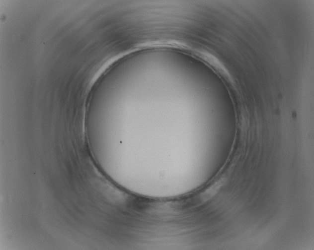 X0000075841228200610061839