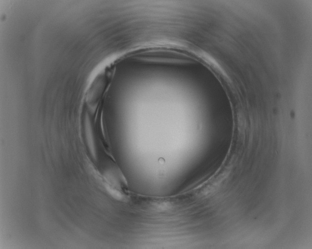 X0000075841230200610061839