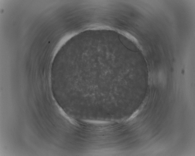 X0000075841231200610061839