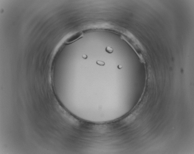 X0000075841232200610061839