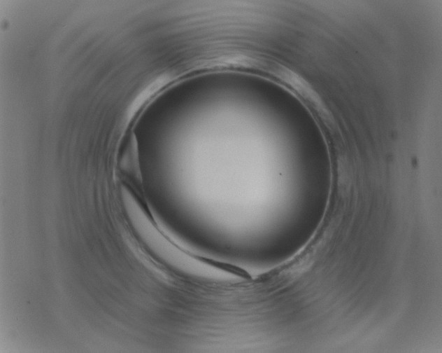 X0000075841234200610061839