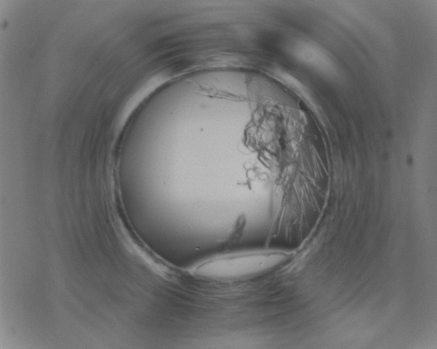 X0000075841235200610061839