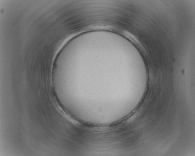 X0000075841236200610061839