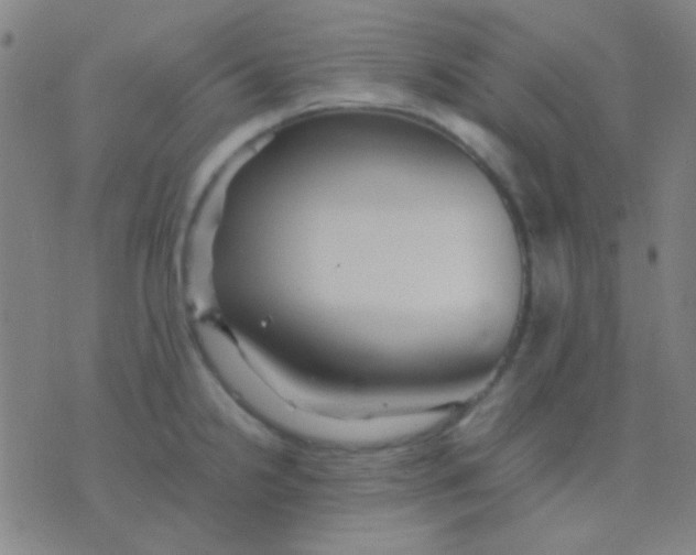 X0000075841238200610061839