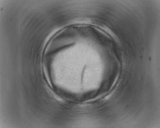 X0000075841240200610061839