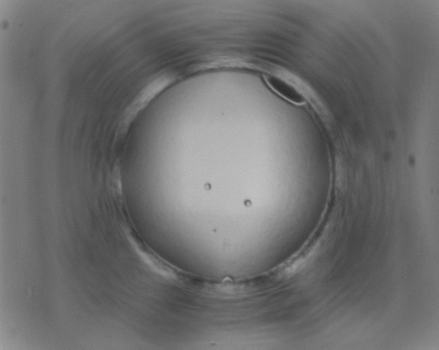 X0000075841241200610061839