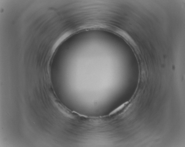 X0000075841242200610061839