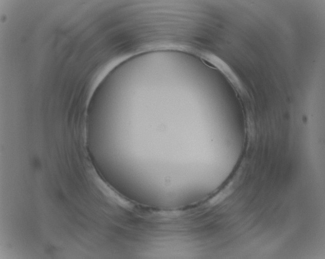 X0000075841244200610061839