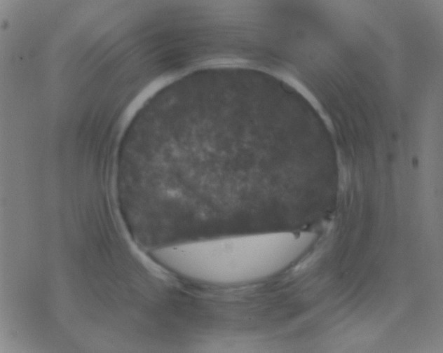 X0000075841245200610061839