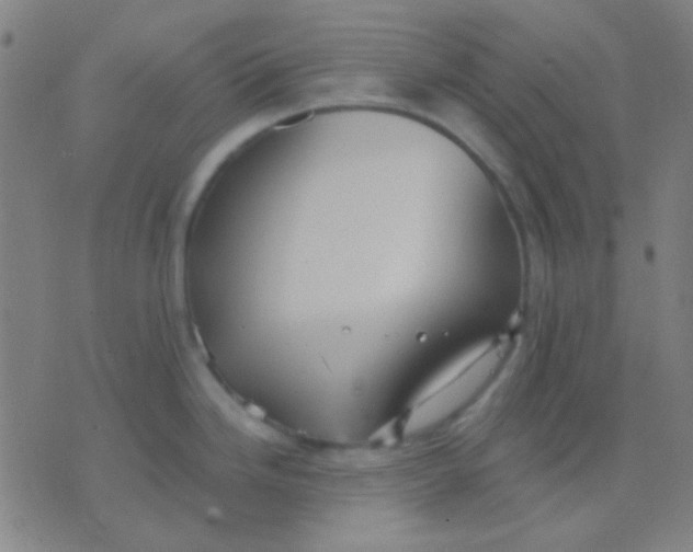 X0000075841246200610061839