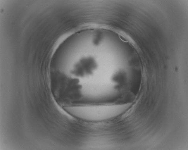 X0000075841247200610061839