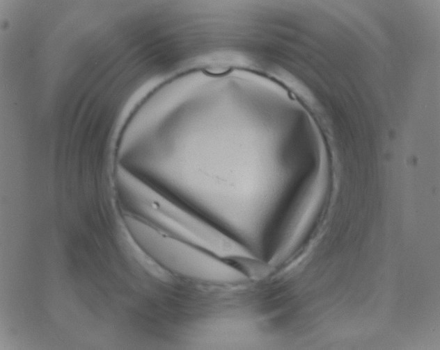 X0000075841248200610061839