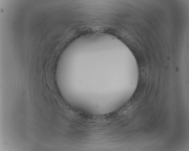 X0000075841249200610061838