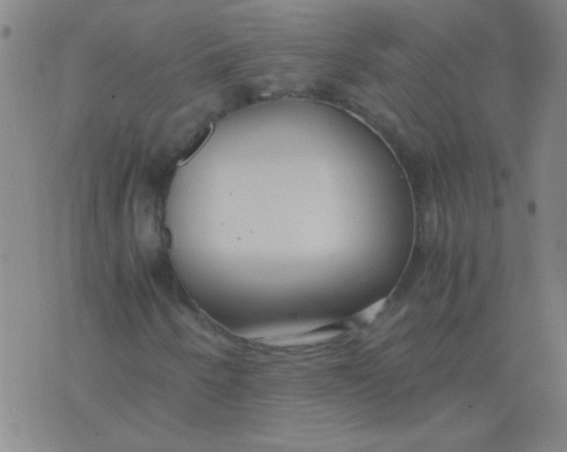 X0000075841250200610061838