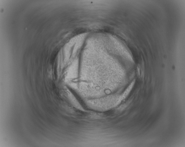 X0000075841251200610061838