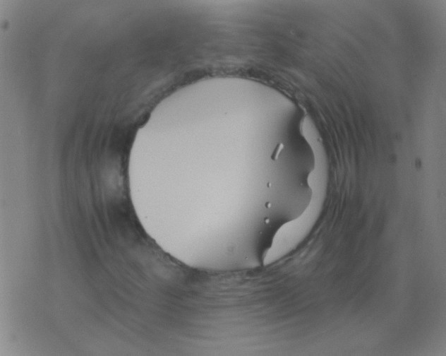 X0000075841252200610061838