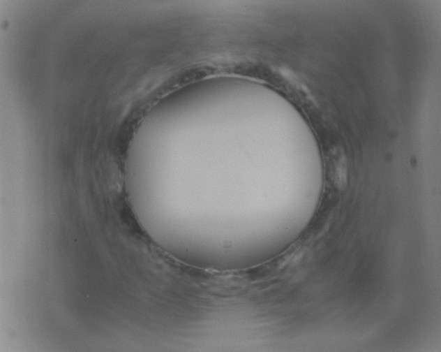 X0000075841253200610061838