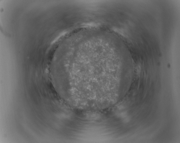 X0000075841254200610061838