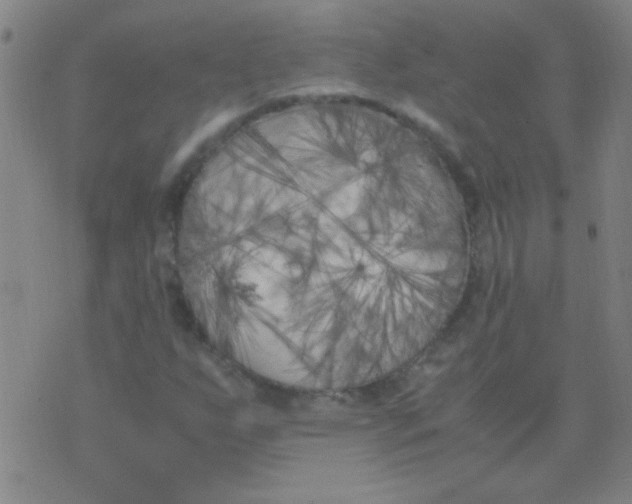 X0000075841255200610061838