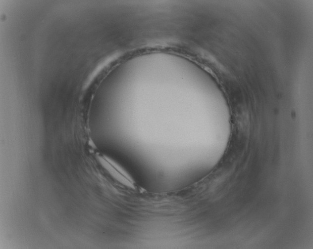 X0000075841256200610061838