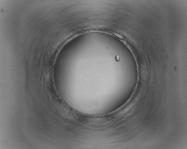 X0000075841257200610061838